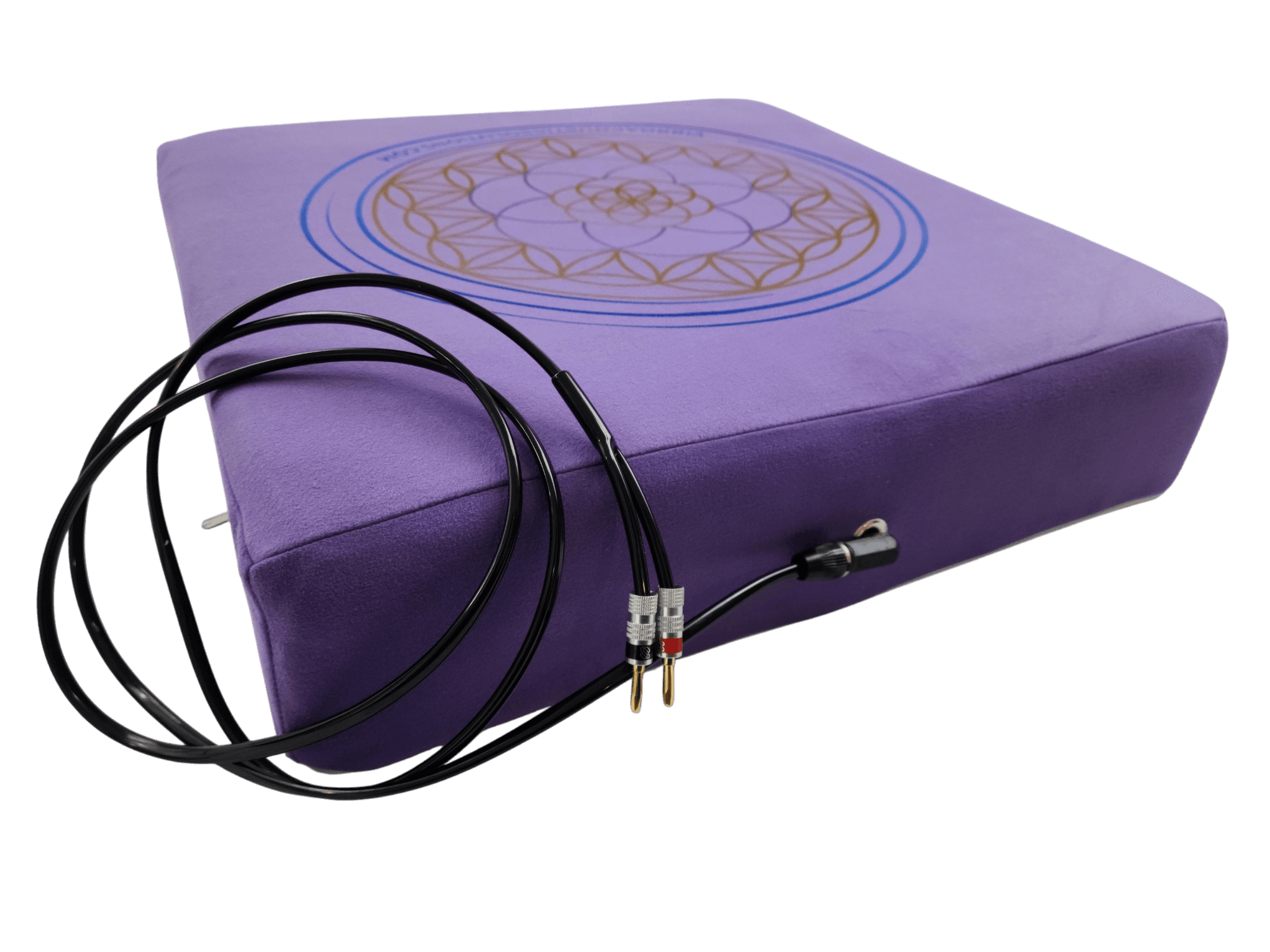 Vibroacoustic Therapy Meditation Cushion bundle with custom amplifier