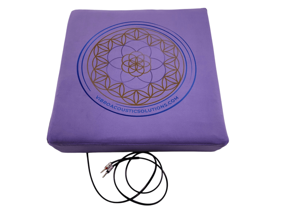 Vibroacoustic Therapy Meditation Cushion bundle with custom amplifier