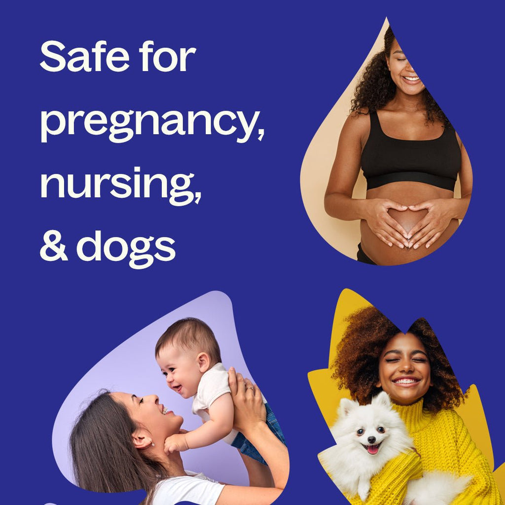 Jasmine Grandiflorum Absolute