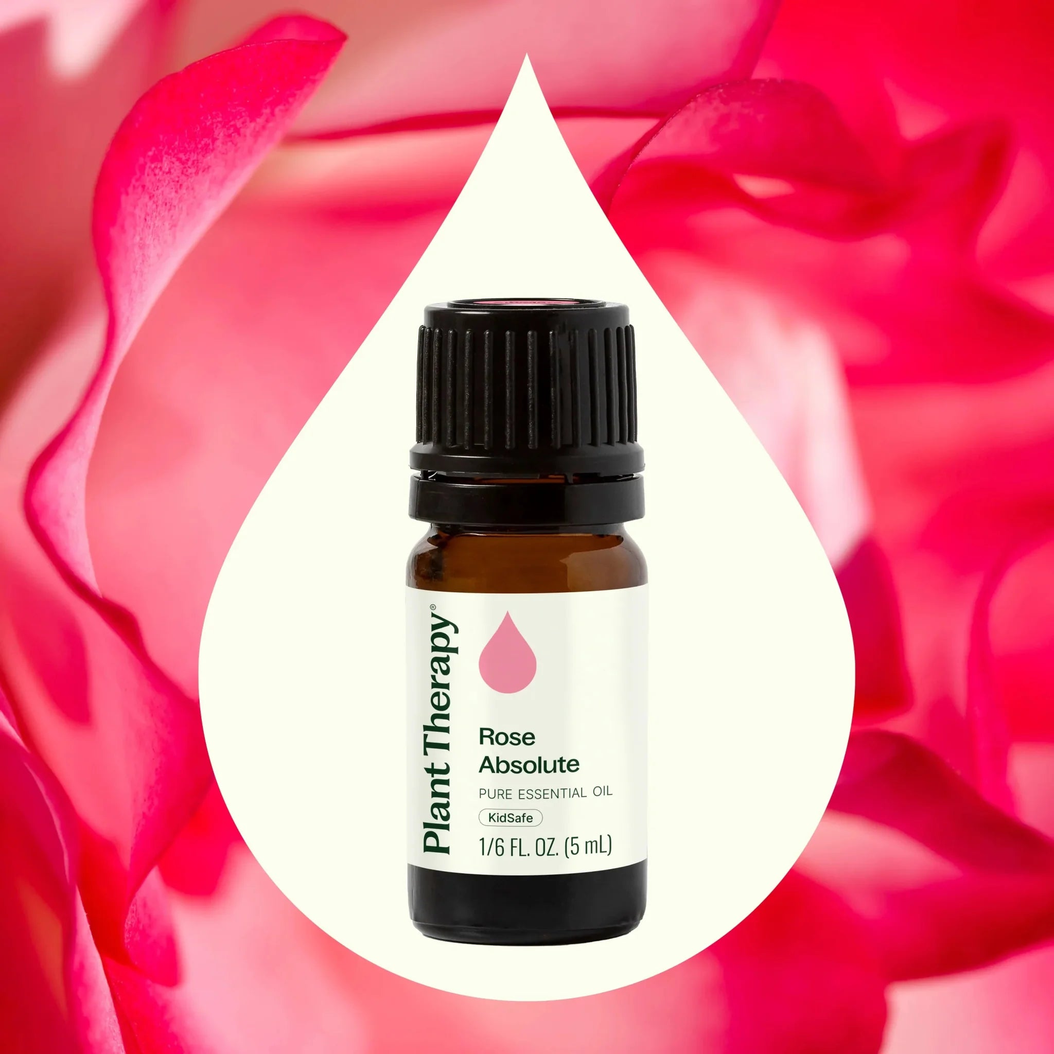 Rose Absolute Essential Oil